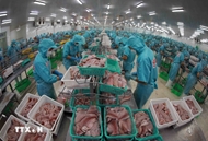 Foreign trade to exceed 900 billion USD, bringing Vietnam to world